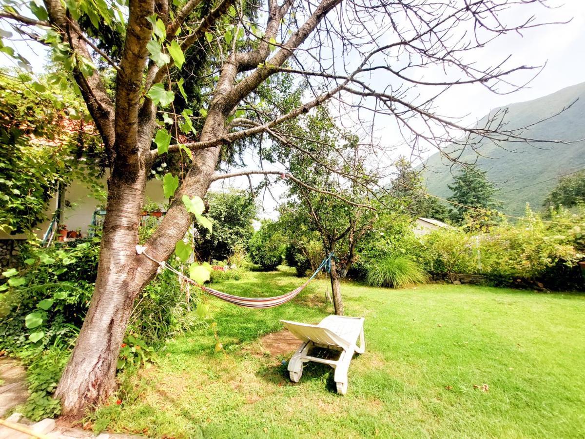סקופיה Impeccable Apartment With View In Dolna Matka מראה חיצוני תמונה